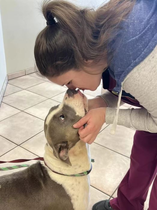  Lonely shelter dog reaches their paw through the bars to shake everyone's hand 5