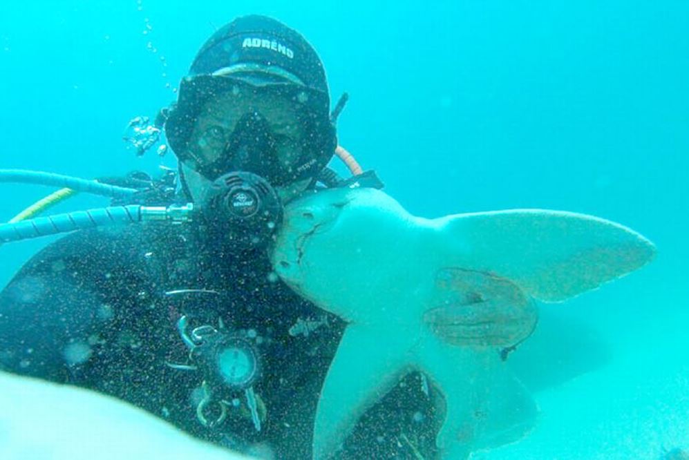 'Prehistoric' shark hugs diver affectionately 3