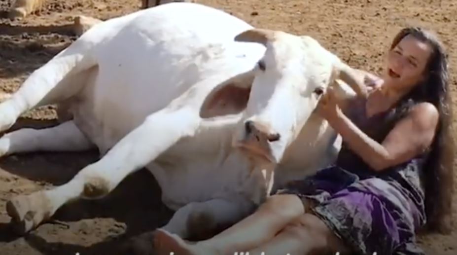  Rescued animals find solace in woman's arms when she sings to them 1