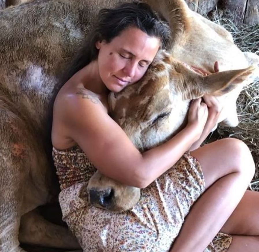 Rescued animals find solace in woman's arms when she sings to them 2