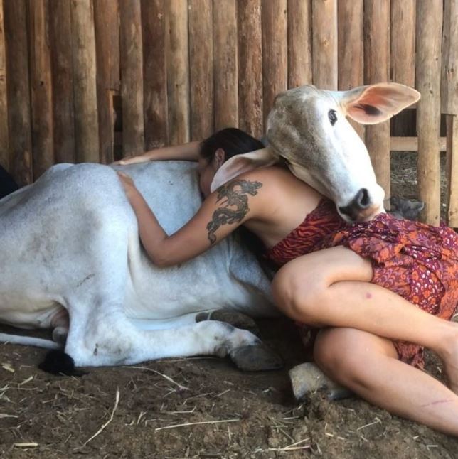  Rescued animals find solace in woman's arms when she sings to them 5