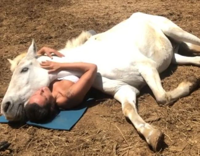  Rescued animals find solace in woman's arms when she sings to them 6