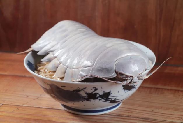 Taiwanese restaurant introduces giant isopod ramen to daring diners 2