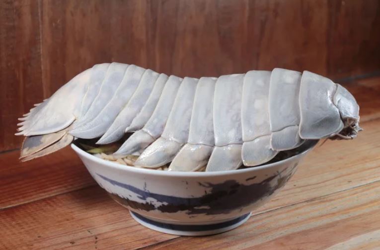 Taiwanese restaurant introduces giant isopod ramen to daring diners 3