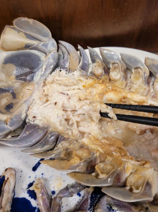 Taiwanese restaurant introduces giant isopod ramen to daring diners 11