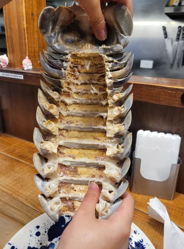 Taiwanese restaurant introduces giant isopod ramen to daring diners 12