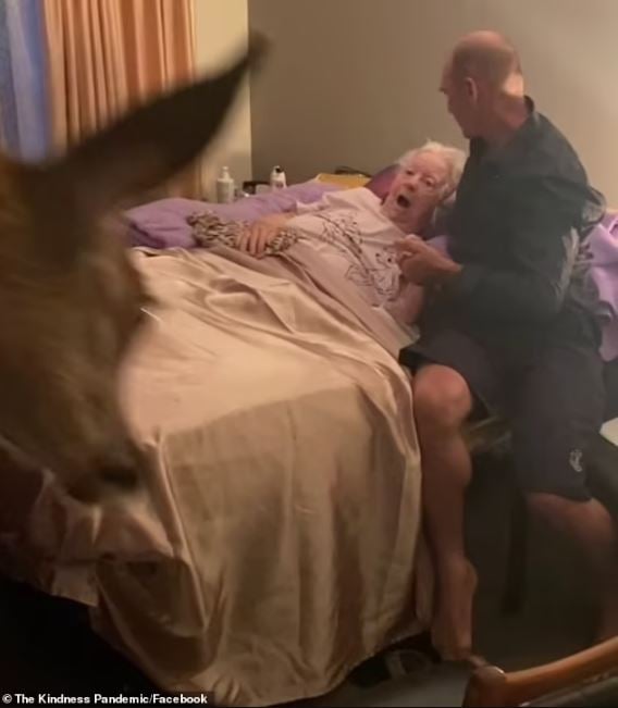 Daughter brings Bambi to visit dying mother, capturing an emotional moment 3
