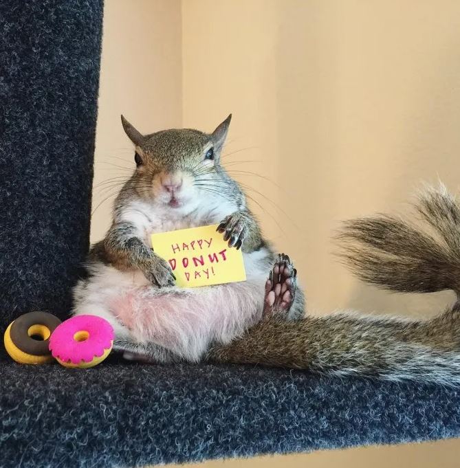 this_girl_is_a_squirrel/Intagram