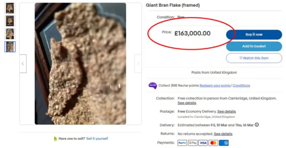 Rare 'gargantuan' bran flake listed on eBay for $200K: Guaranteed to be 'still crispy 1