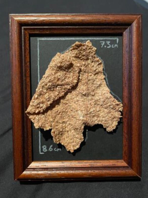 Rare 'gargantuan' bran flake listed on eBay for $200K: Guaranteed to be 'still crispy 2