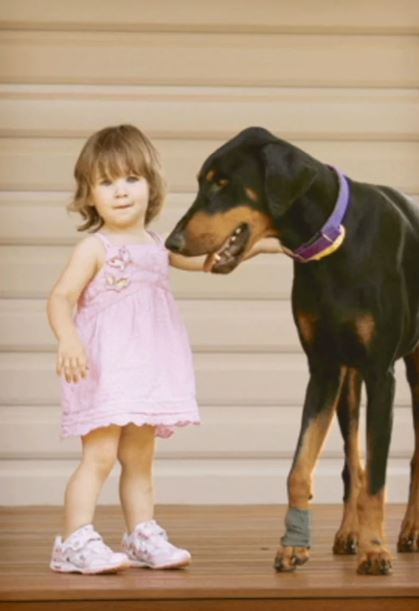 Family adopts abused rescue dog, and it repays by saving their daughter's life 4