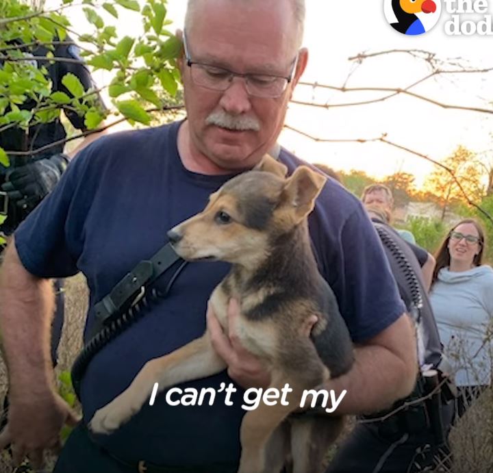 Heartwarming firefighter reunited with the adorable puppy he rescued 4