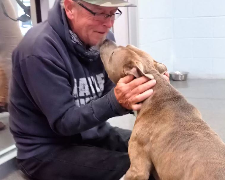 Heartwarming the dog found his dad after 200 days apart 4