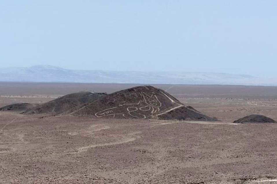 The mystery of the 2,200-year-old giant cat drawing on the high mountain 1