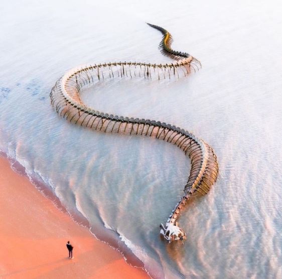 The Serpent d'Océan: Described as a giant snake skeleton, appeared in the middle of the Beach. 1