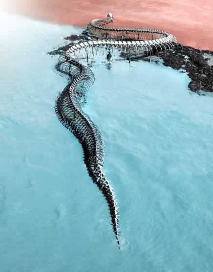 The Serpent d'Océan: Described as a giant snake skeleton, appeared in the middle of the Beach. 3