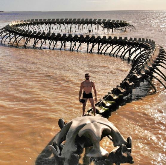 The Serpent d'Océan: Described as a giant snake skeleton, appeared in the middle of the Beach. 5