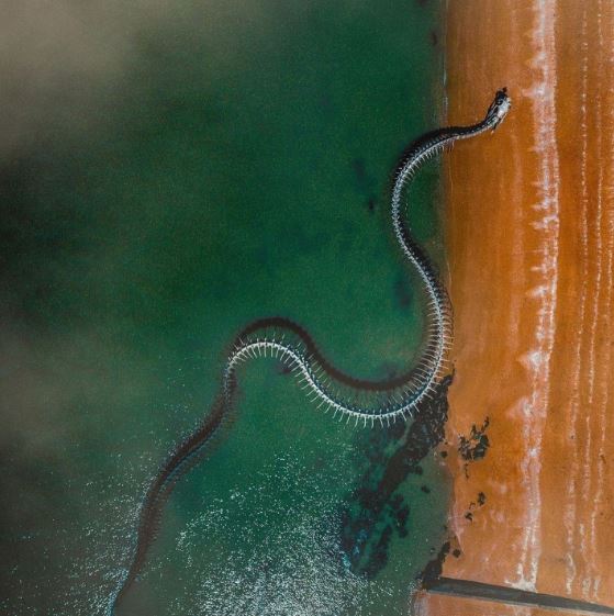 The Serpent d'Océan: Described as a giant snake skeleton, appeared in the middle of the Beach. 7