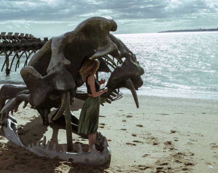 The Serpent d'Océan: Described as a giant snake skeleton, appeared in the middle of the Beach. 8