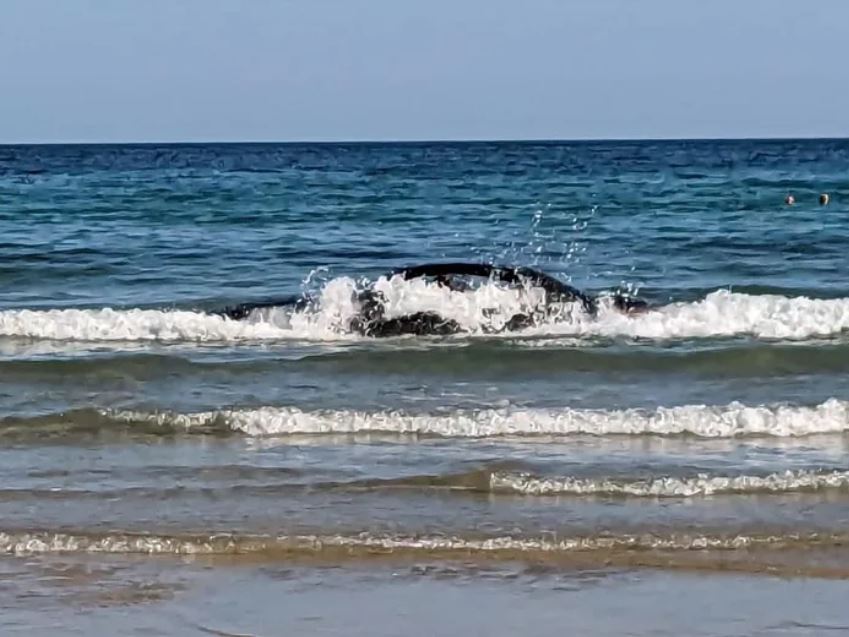  BMW found drifting out to sea after driver parks car on the beach 2