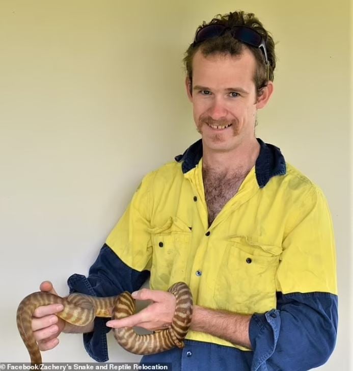 Discovery of a brown snake coiled underneath homeowners' sheets 2