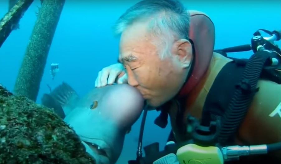 Man saves fish's life and they become best friends for vearly 30 years 1