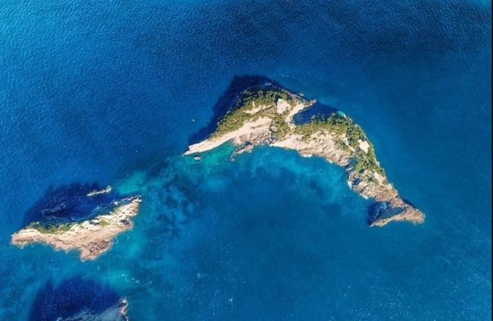 The most unique dolphin island in the world, only 12 tourists can be received at a time 1