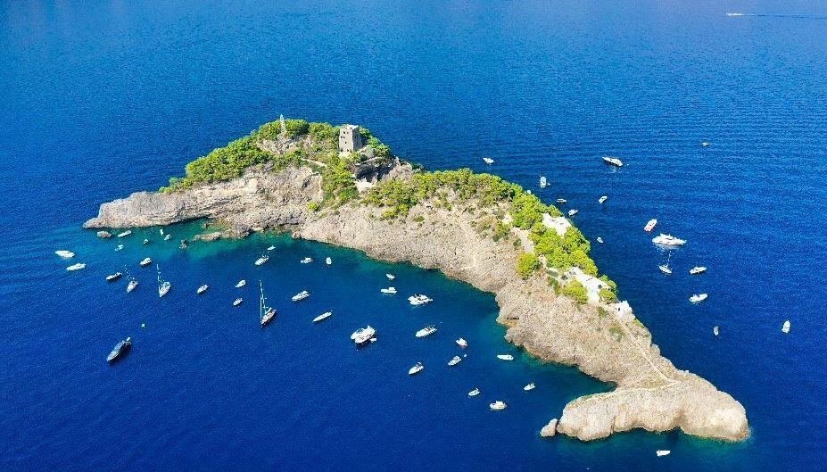 The most unique dolphin island in the world, only 12 tourists can be received at a time 2