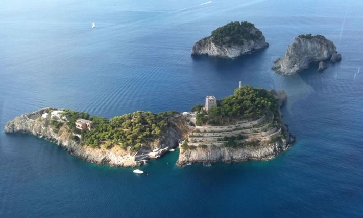 The most unique dolphin island in the world, only 12 tourists can be received at a time 3