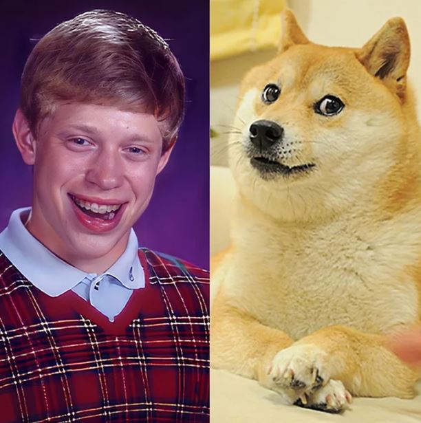 Meme icons doge and bad luck Brian meet in Japan 4