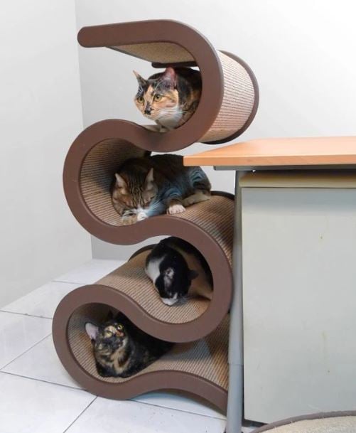 10+ Adorable cat-sized furniture pieces that will melt your heart 6