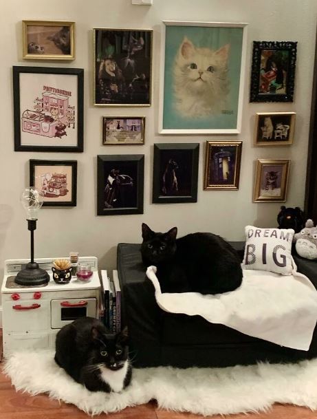10+ Adorable cat-sized furniture pieces that will melt your heart 10