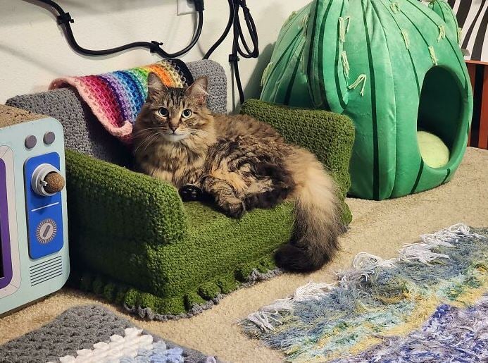 10+ Adorable cat-sized furniture pieces that will melt your heart 13