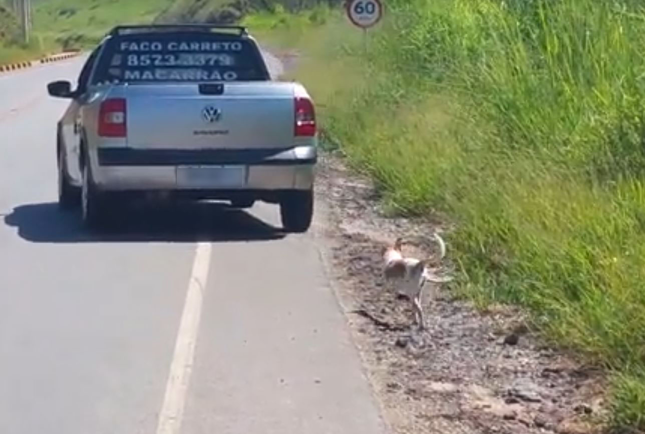 The man was moved to tears by a video of a dog being abandoned, so he looked for and rescued him 2