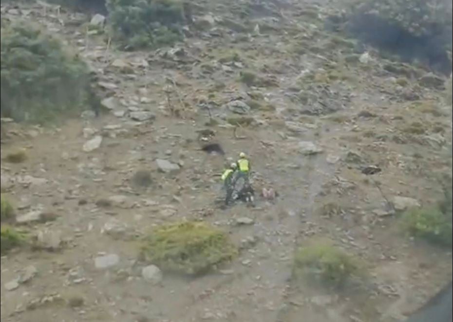 A mountain goat pushes hiker off a cliff, knocks her friend unconscious 1
