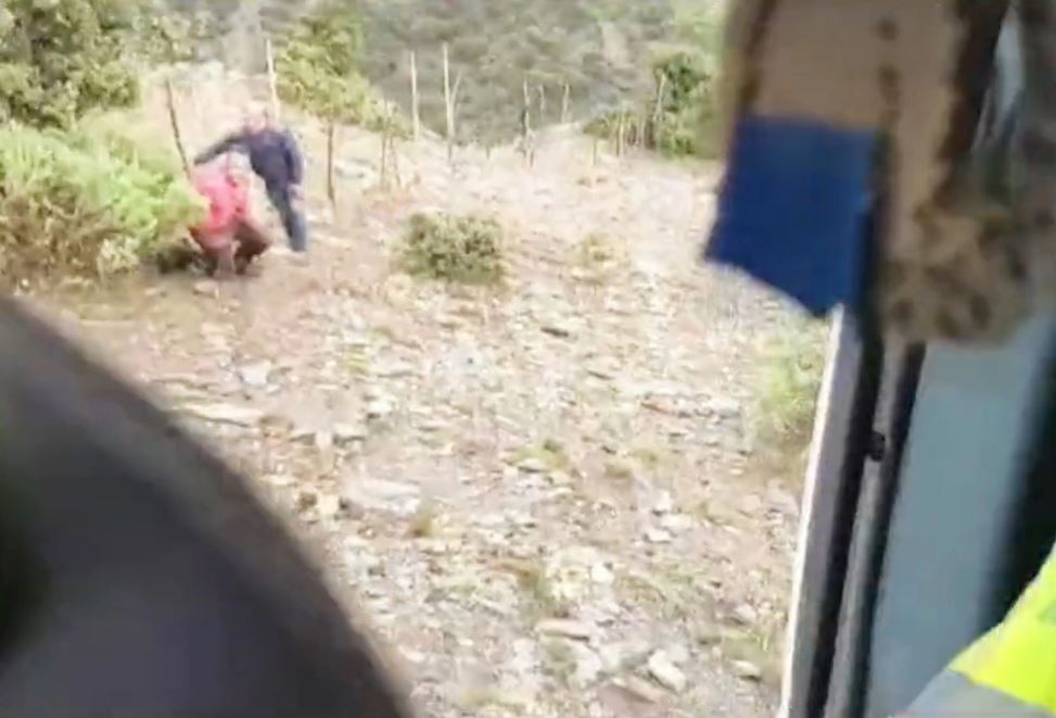 Mountain goat pushes hiker off a cliff, and knocks her friend unconscious 2