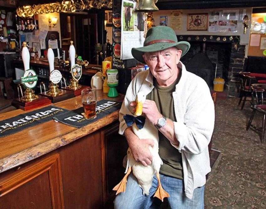 Bow-tie-clad duck enters pub, drinks pint, fights dog and loses 4