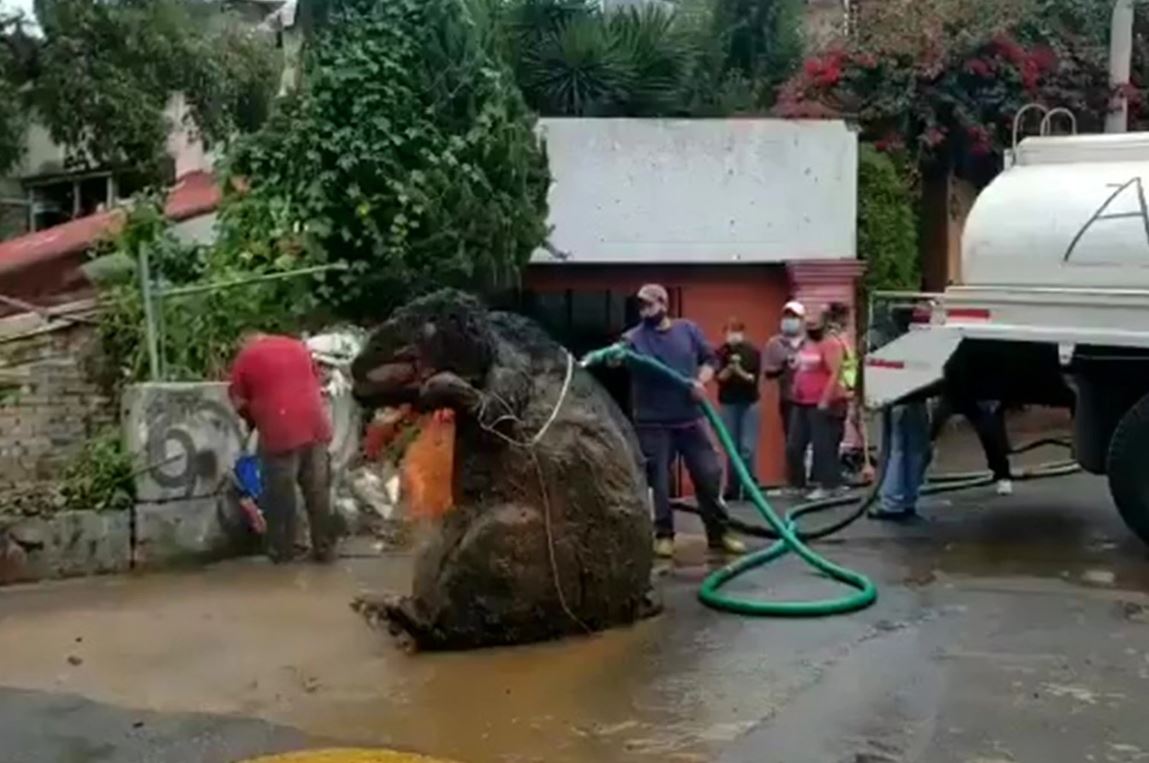 Shocked workers find ‘giant rat’ while cleaning sewers in Mexico City’s sewer system 2
