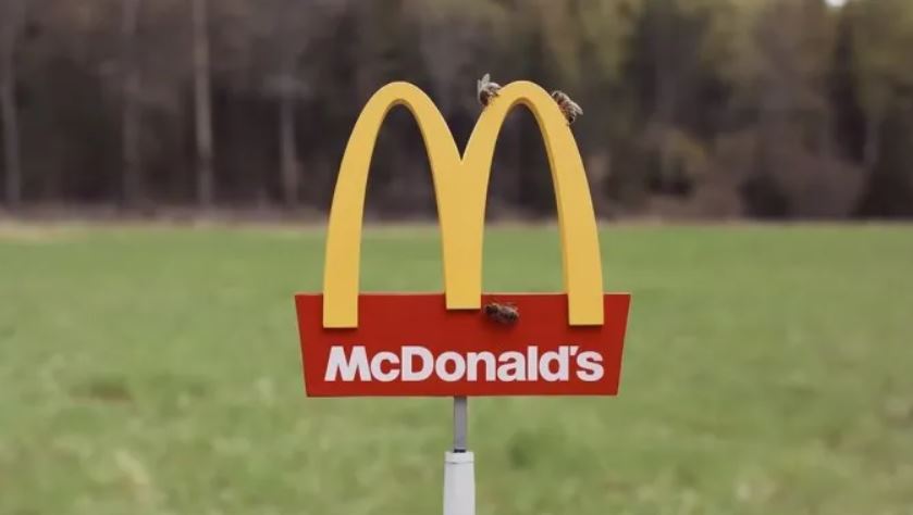 McDonald's Unveils McHive, the world's smallest restaurant for bees 2