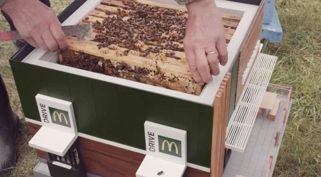 McDonald's Unveils McHive, the world's smallest restaurant for bees 4