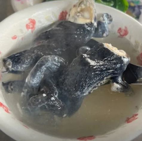 Restaurant offers ramen with whole unpeeled frog on top, citizens baffled 2