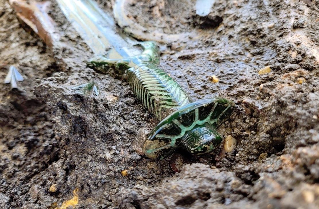 Archaeologists unearth a 3,000-year-old sword so well-preserved with an astonishing shine 3