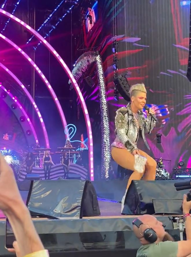 Singer Pink stunned as fan throws mother's ashes on-stage during her performance in London 4