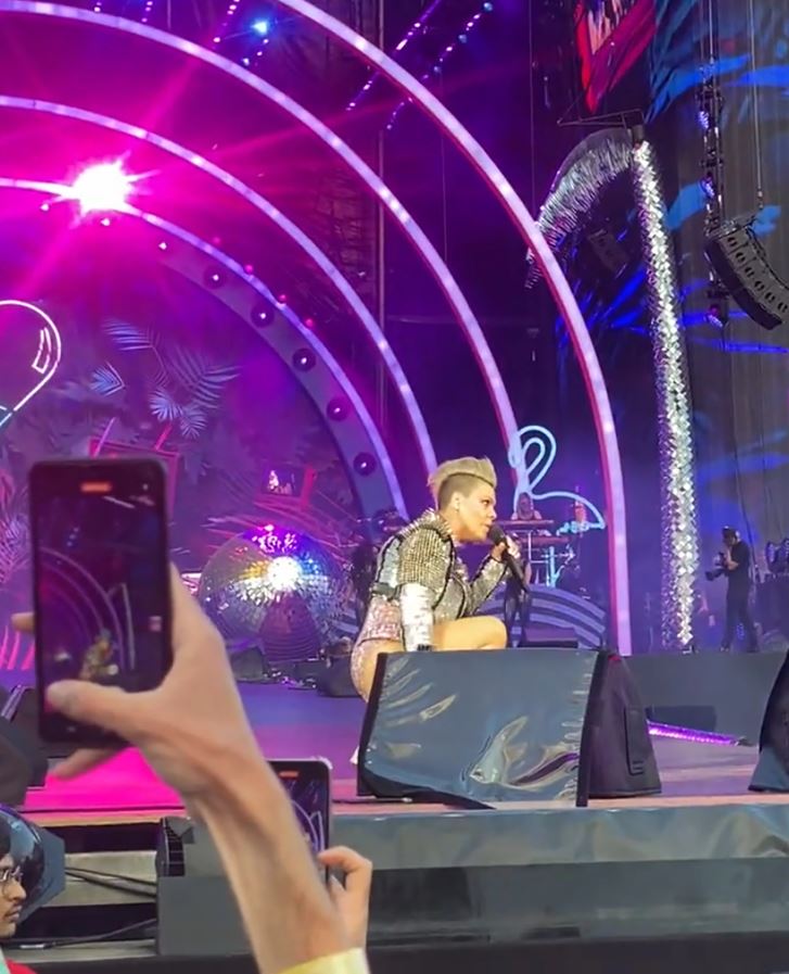 Singer Pink stunned as fan throws mother's ashes on-stage during her performance in London 5