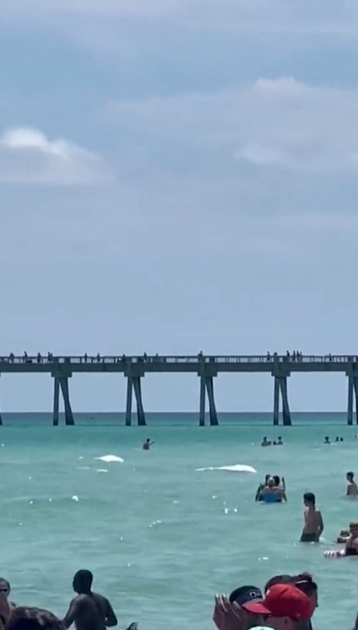 Huge shark spotted swimming in shallow Florida waters sends beachgoers screaming 'get out of the water' 4