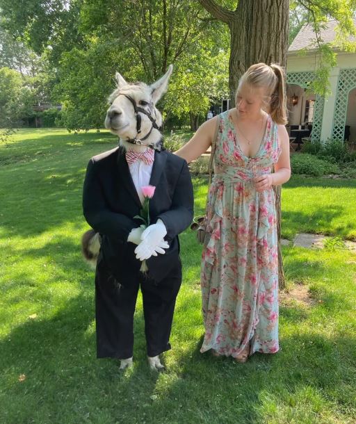 Llama dressed like groomsman at wedding delights guests at New York wedding 5