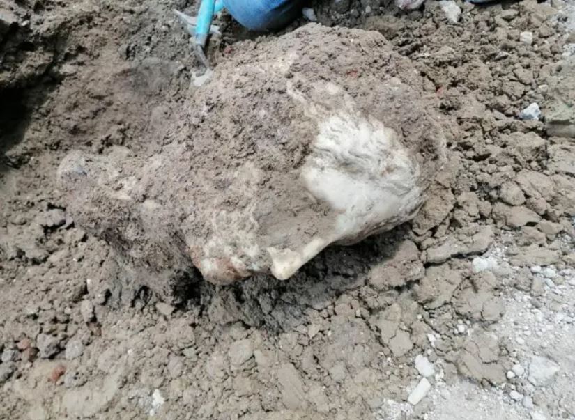 'Intact' marble head was unearthed during construction work in a Rome piazza 1 'Intact' marble head was unearthed during construction work in a Rome piazza 1