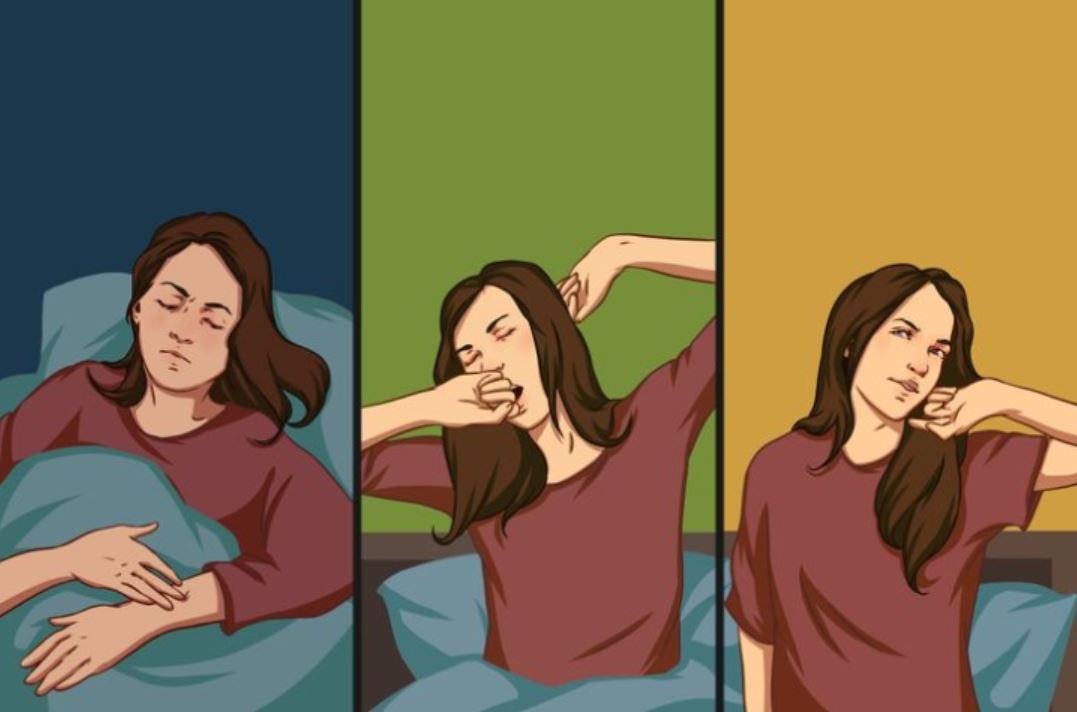Here's why we instinctively stretch and yawn when we wake up 5