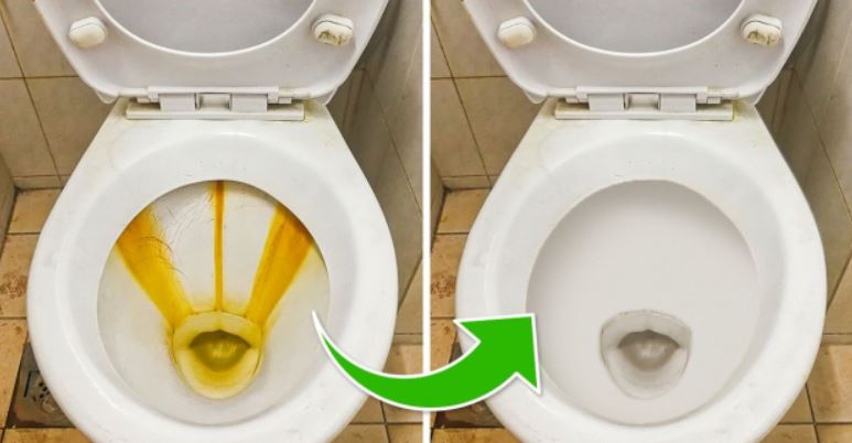 Why toilets are always white despite being easily dirty 3