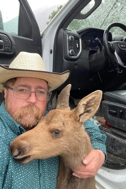 Canadian man fired from his job for saving baby moose from hungry bear 2